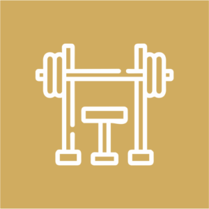 Gymnasium